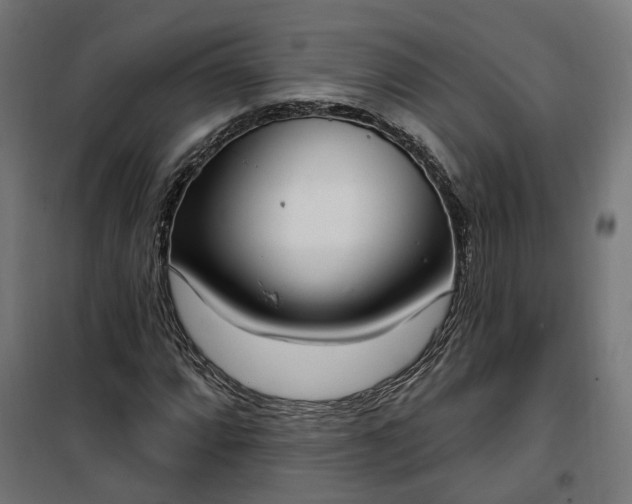 X0000100501064200806201710