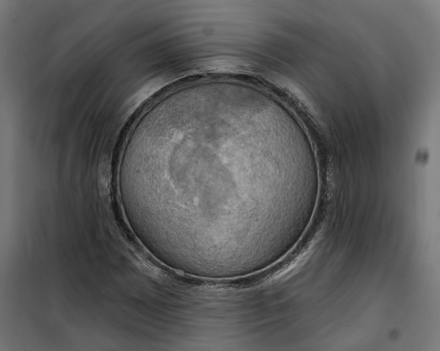 X0000100501065200806201710