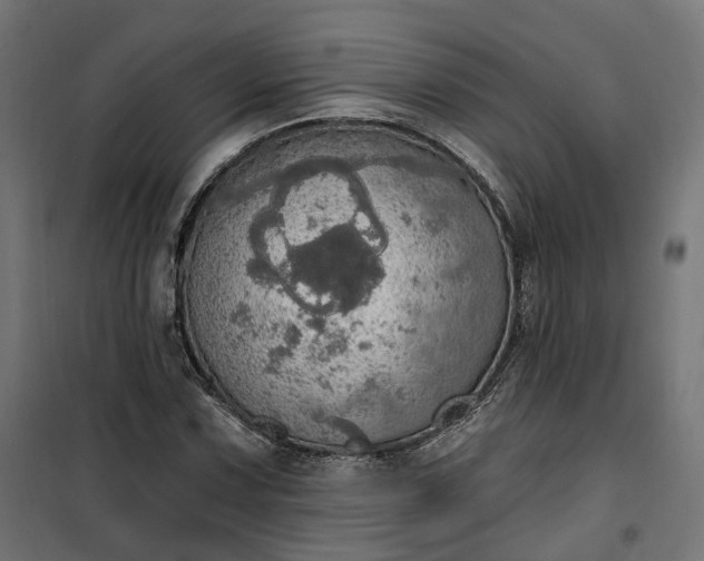 X0000100501067200806201710