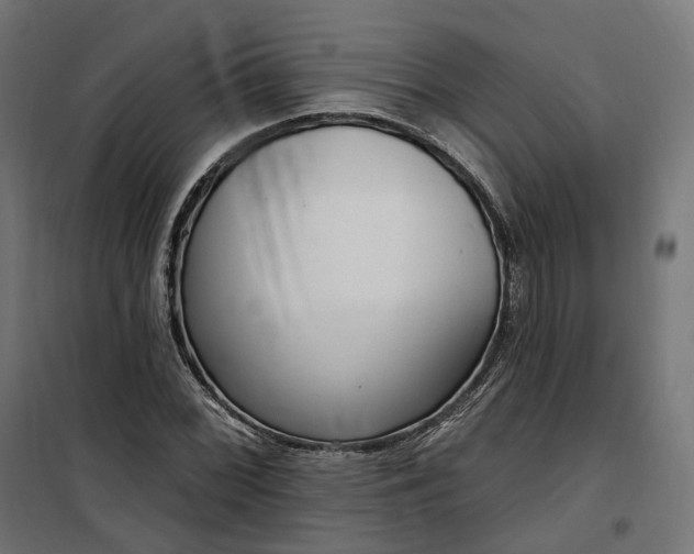 X0000100501068200806201710