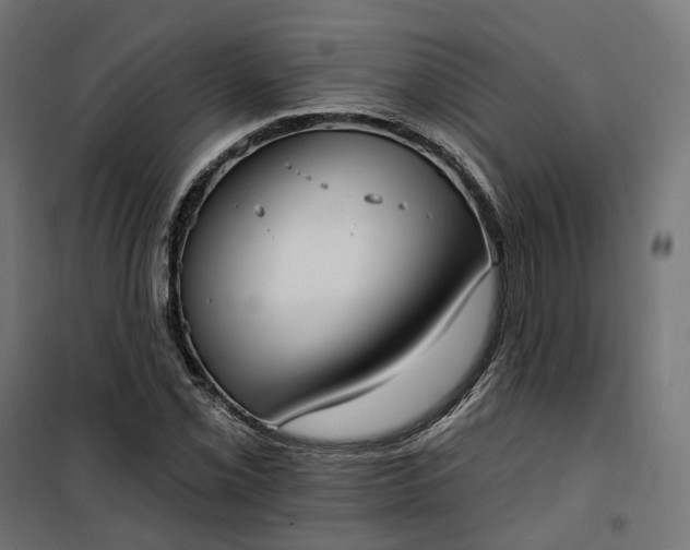 X0000100501069200806201710