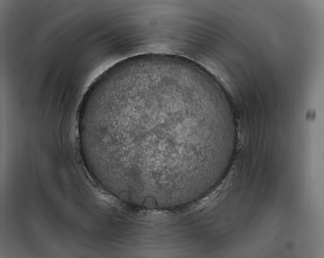 X0000100501070200806201710