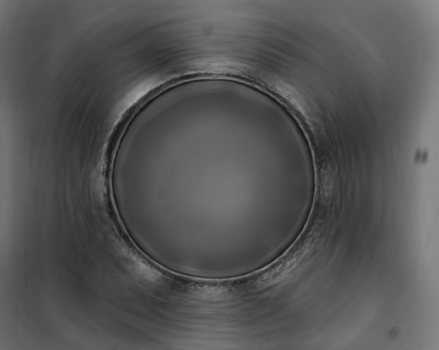 X0000100501071200806201710