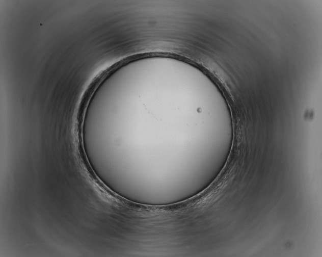 X0000100501072200806201710