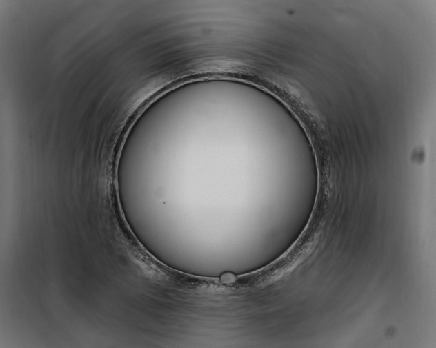 X0000100501073200806201710