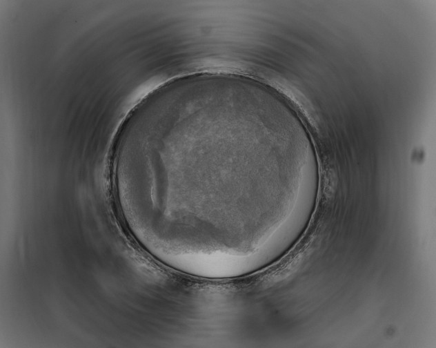 X0000100501074200806201710