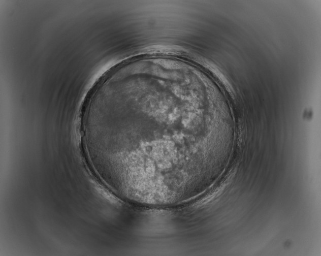 X0000100501075200806201710