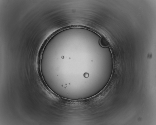 X0000100501076200806201710