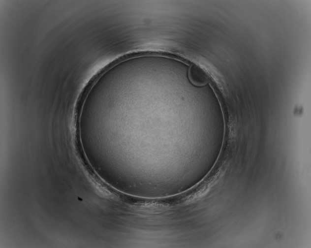 X0000100501077200806201710