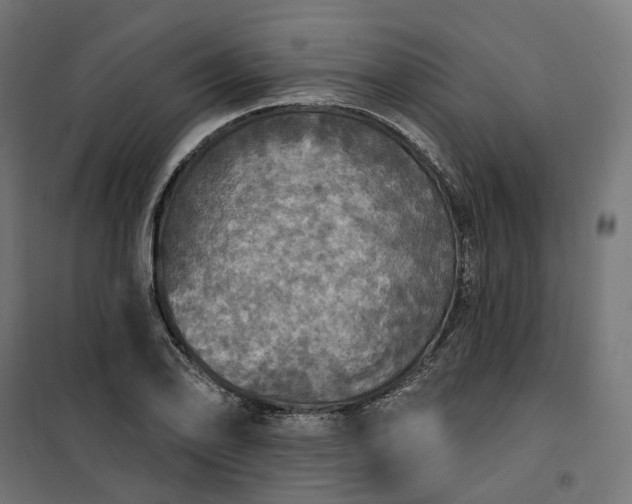 X0000100501078200806201709