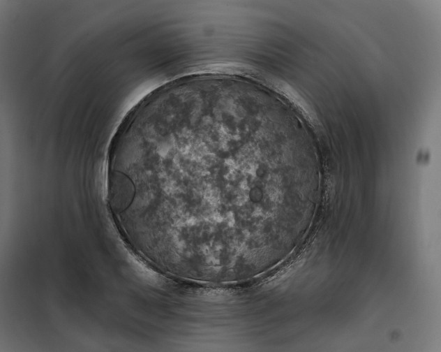 X0000100501079200806201709