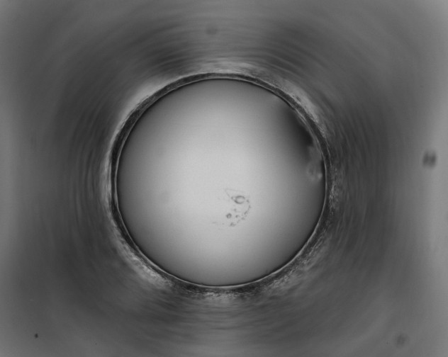 X0000100501080200806201709