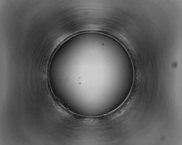 X0000100501081200806201709