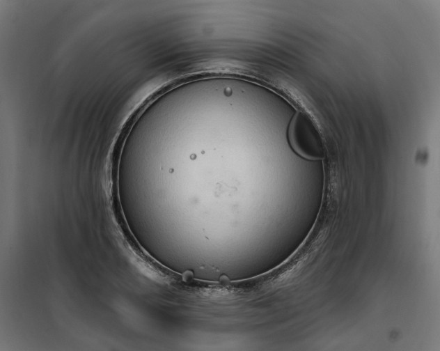 X0000100501082200806201709