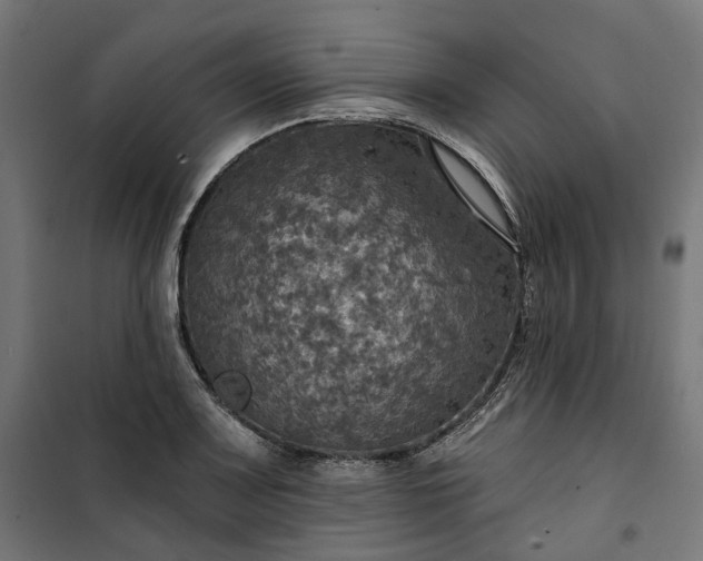 X0000100501083200806201709