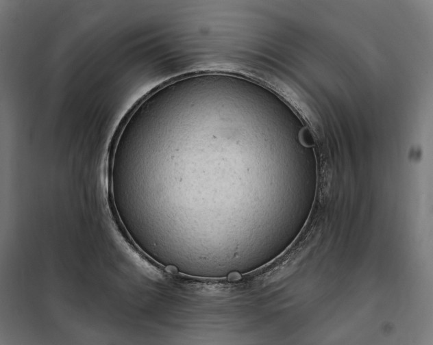 X0000100501084200806201709