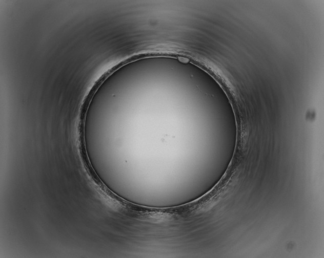 X0000100501085200806201709