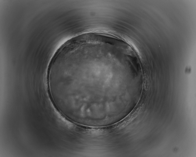 X0000100501087200806201709