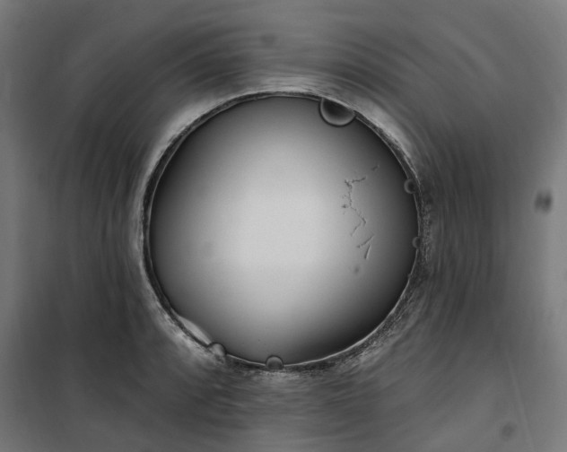 X0000100501088200806201709