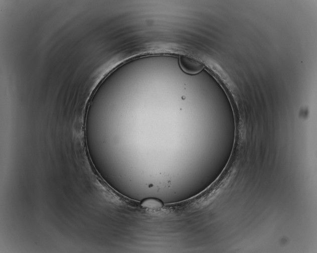 X0000100501089200806201709