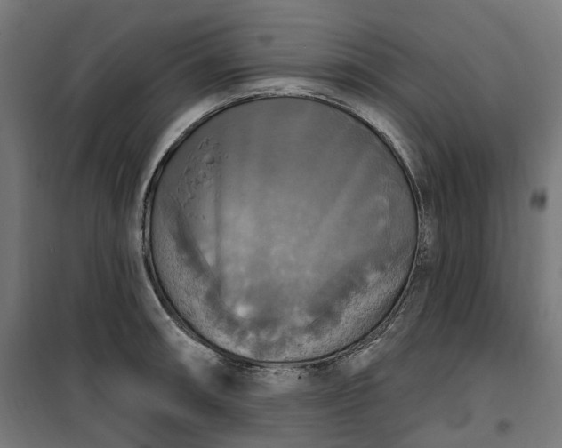 X0000100501090200806201709