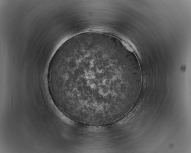 X0000100501091200806201709