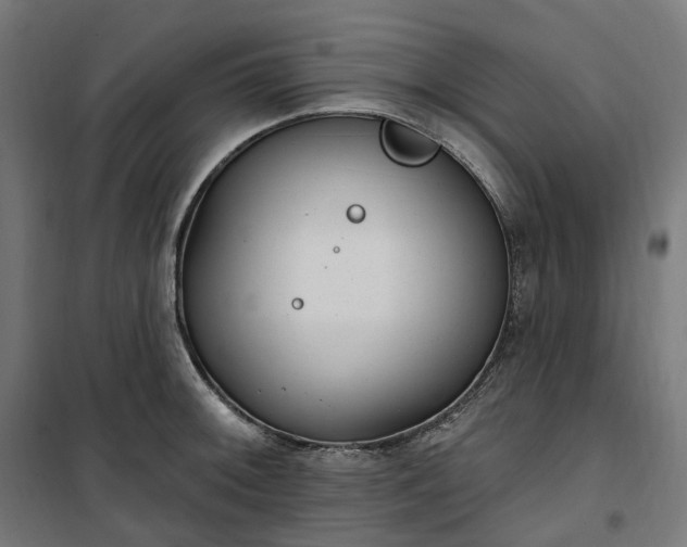 X0000100501092200806201709