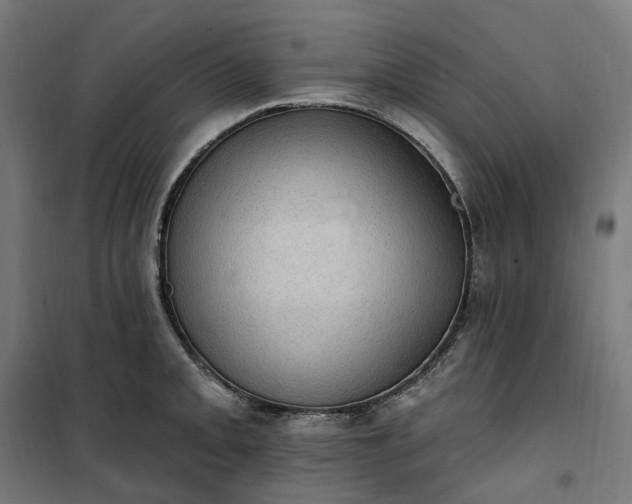 X0000100501093200806201709