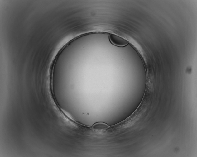 X0000100501096200806201709