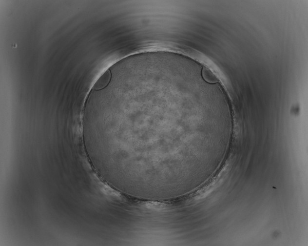 X0000100501097200806201709