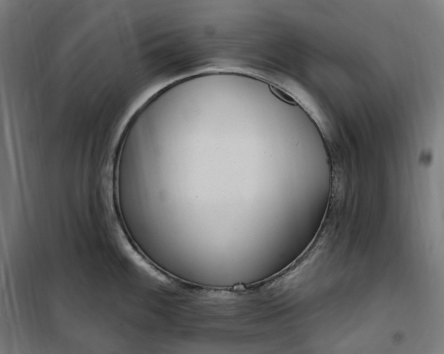 X0000100501100200806201709