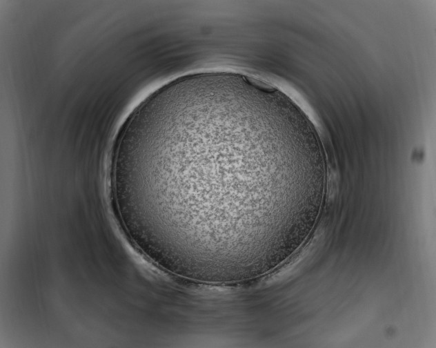 X0000100501101200806201709