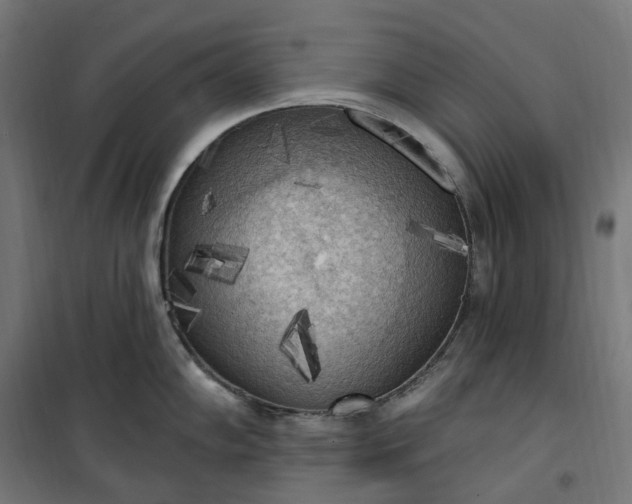 X0000100501102200806201709