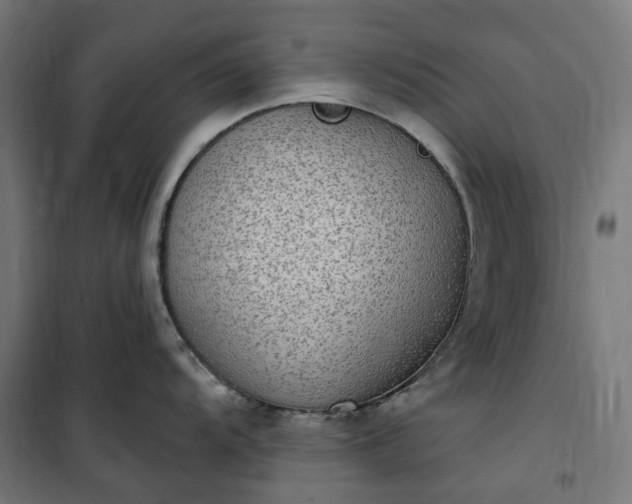 X0000100501104200806201709