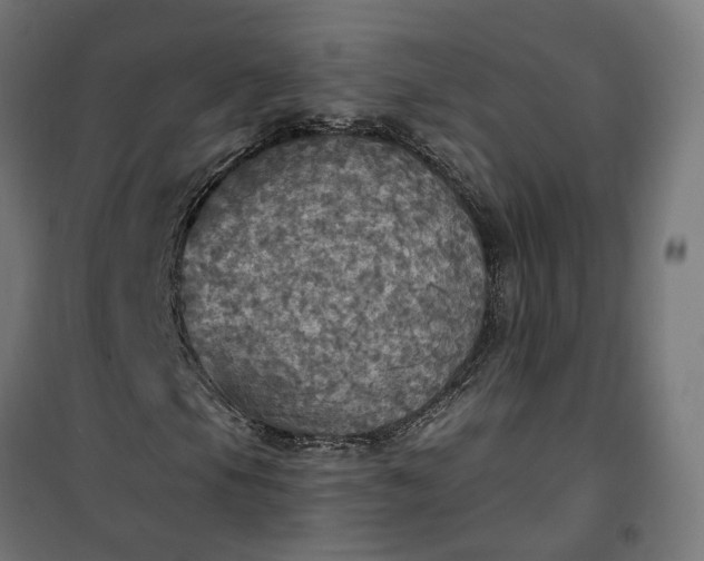 X0000100501105200806201708