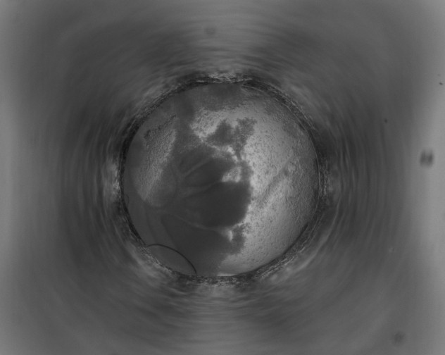 X0000100501106200806201708