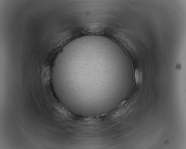 X0000100501107200806201708