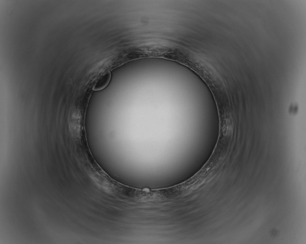 X0000100501108200806201709