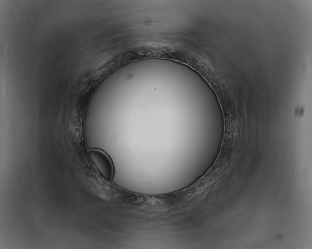 X0000100501109200806201709