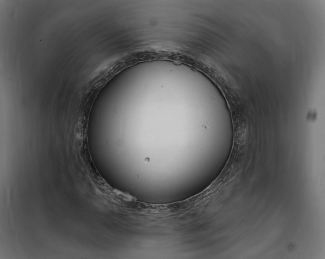 X0000100501110200806201709