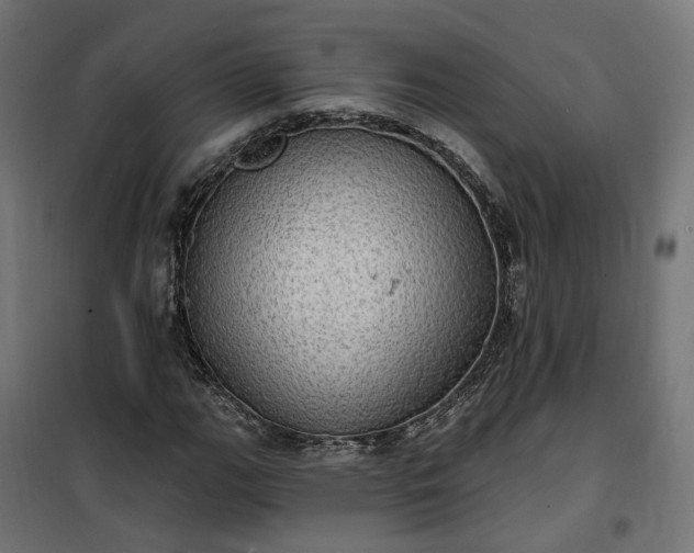 X0000100501111200806201709