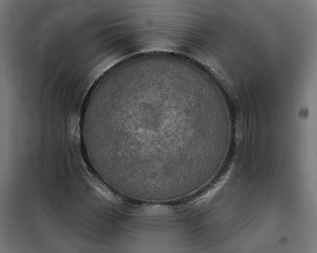 X0000100501113200806201709