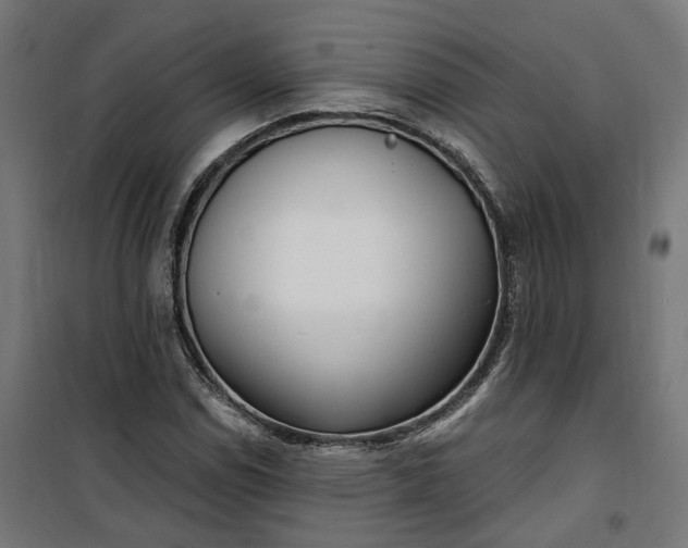 X0000100501114200806201709