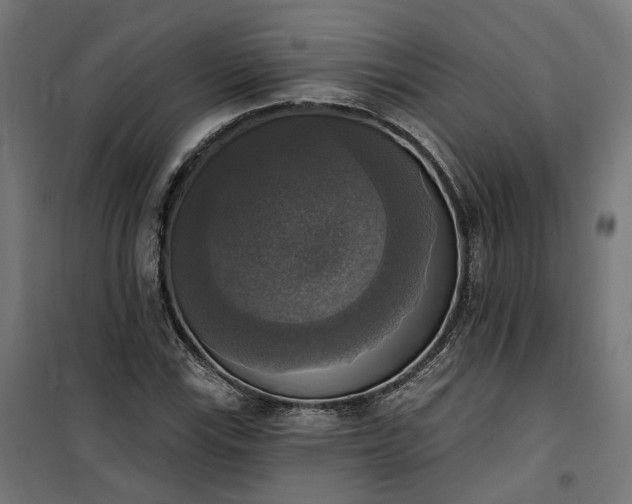 X0000100501115200806201709