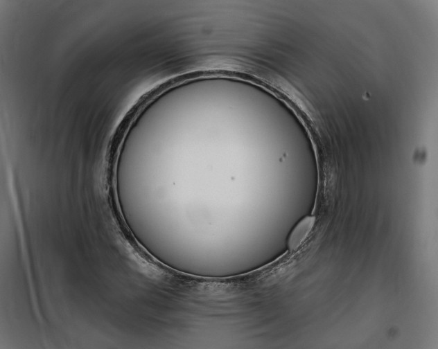 X0000100501116200806201709