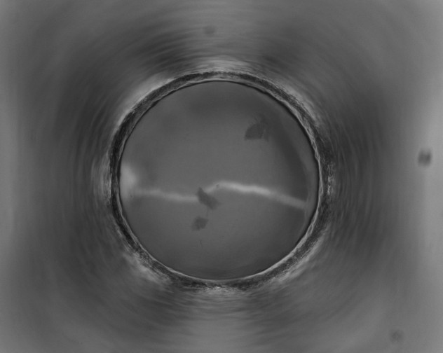 X0000100501117200806201709