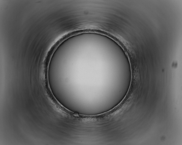 X0000100501118200806201709