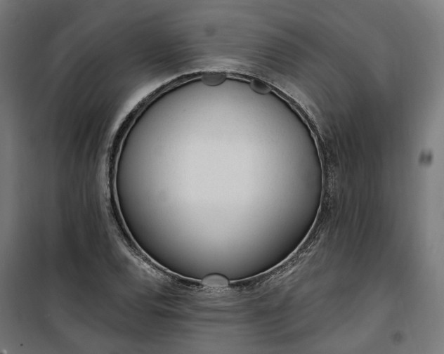 X0000100501120200806201709