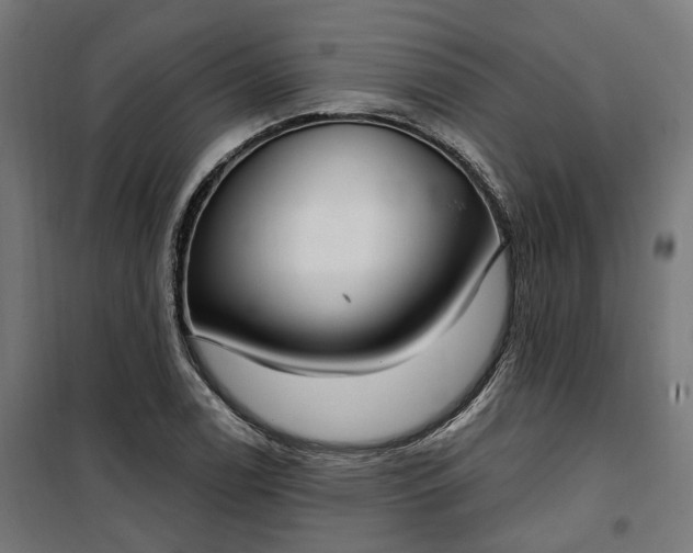 X0000100501122200806201709