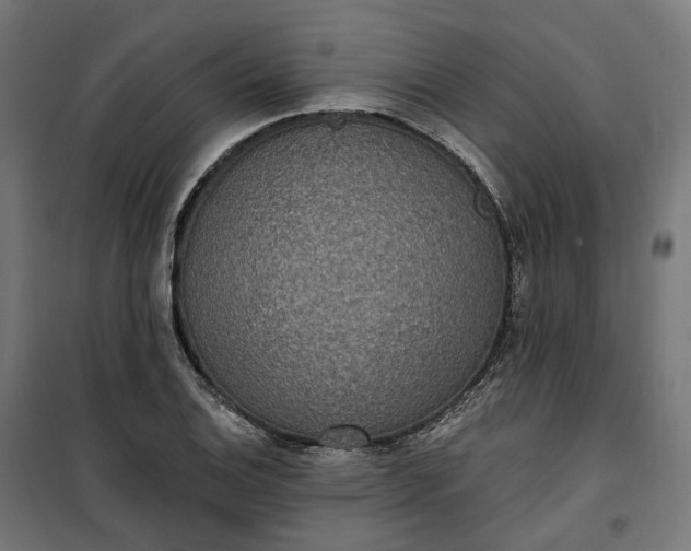 X0000100501124200806201709